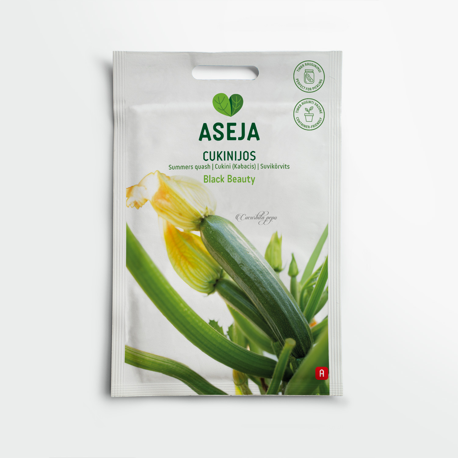 20-0023-Cukinijos-Black-Beauty-2025