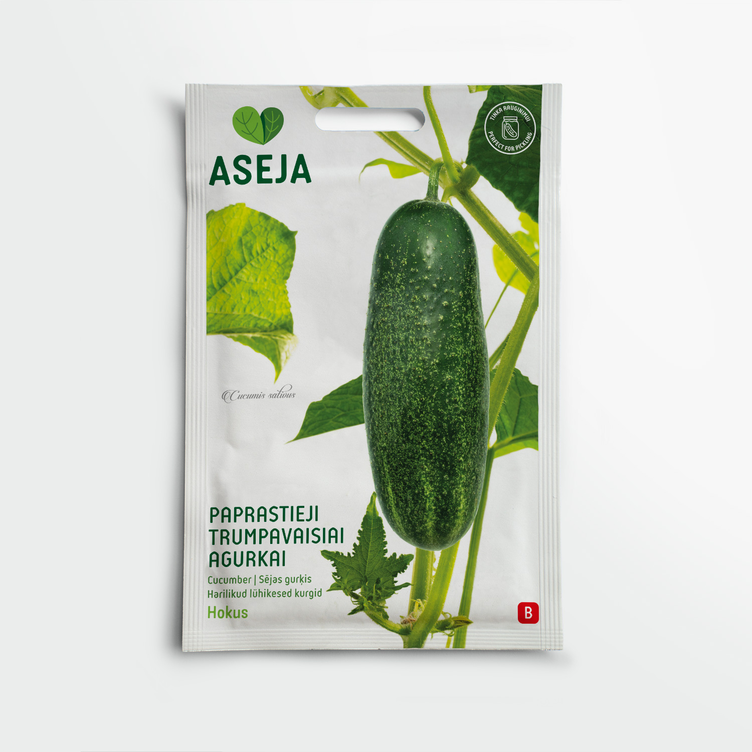 20-0509-Paprastieji-trumpavaisiai-agurkai-Hokus-2025