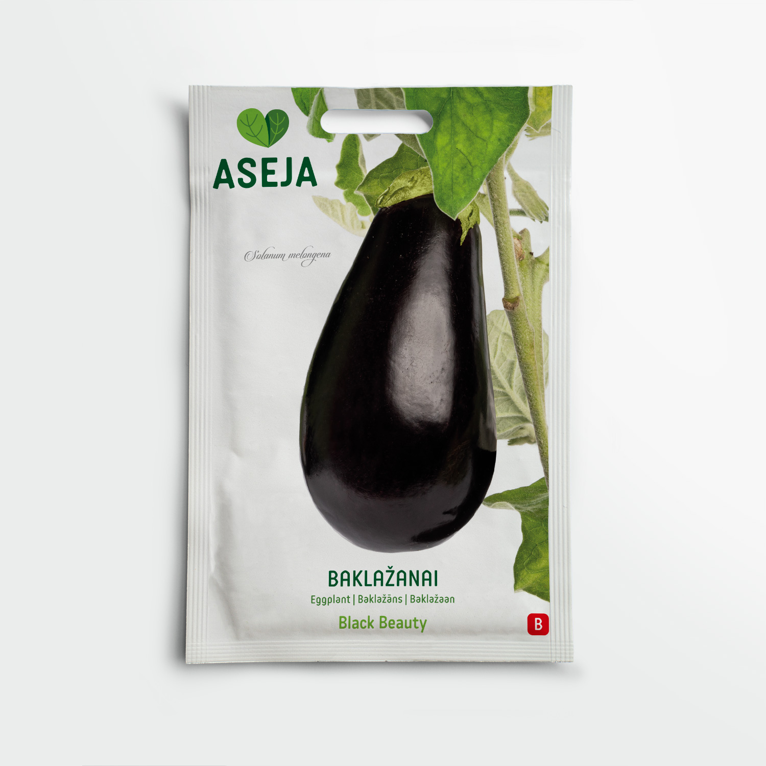 20-0101-Baklazanai-BlackBeauty-2025